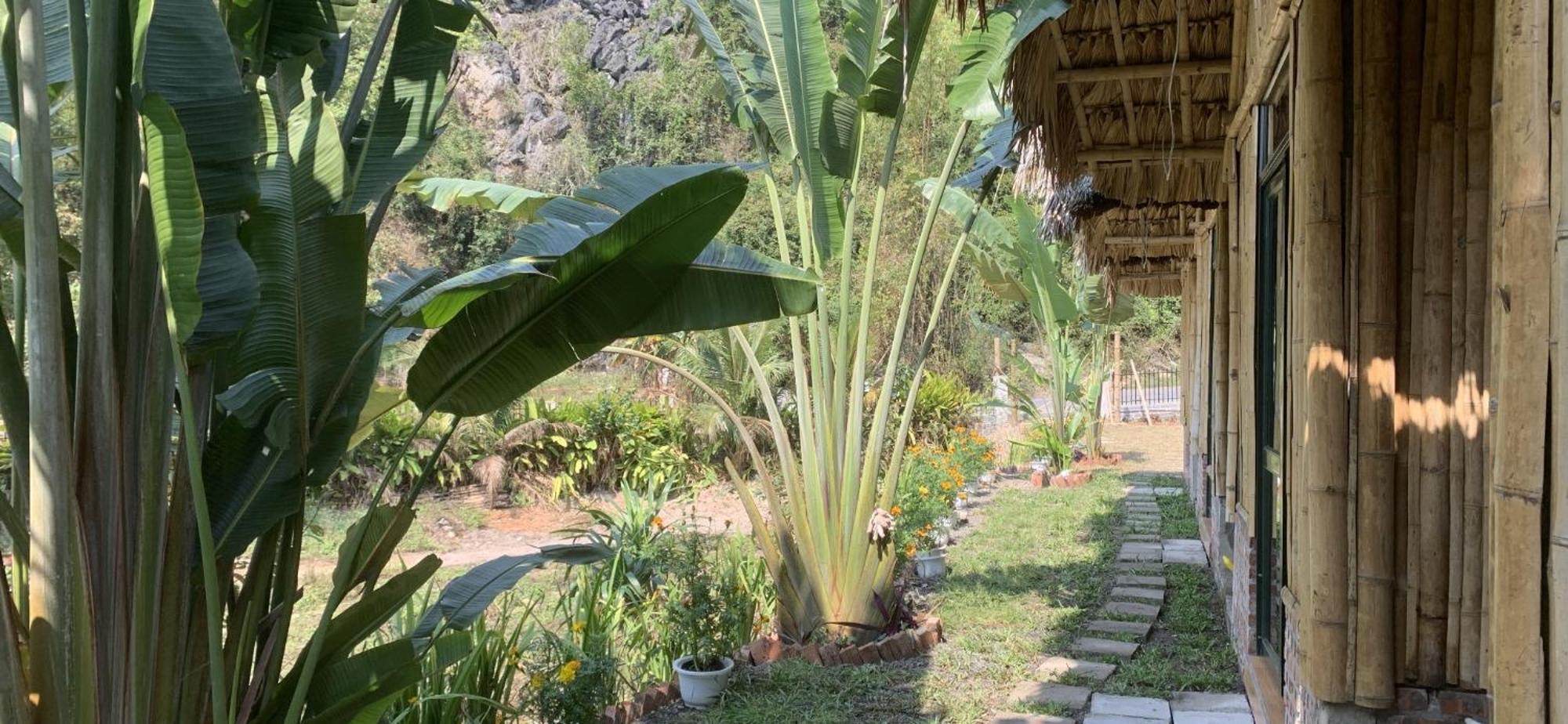 Cat Ba Island Garden Homestay - Papillon Exterior photo