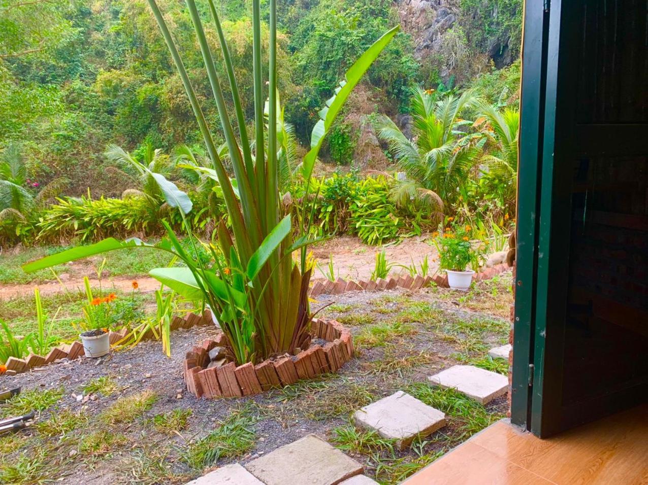 Cat Ba Island Garden Homestay - Papillon Exterior photo