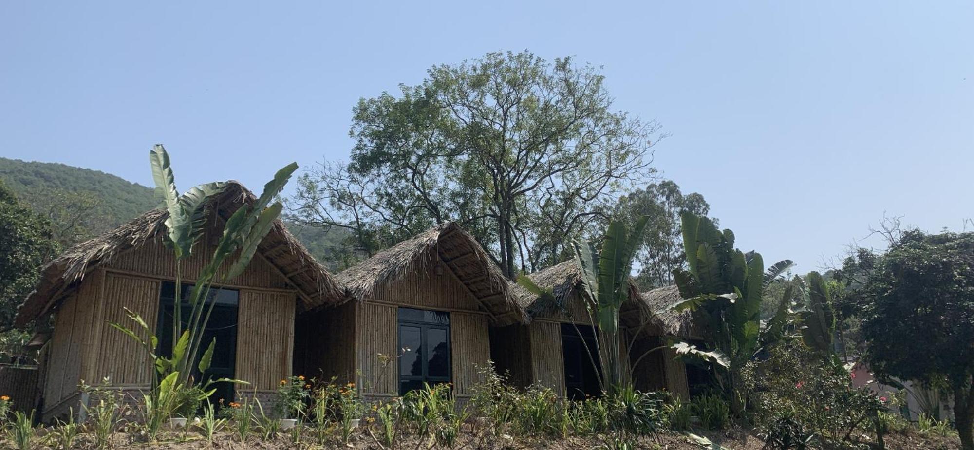 Cat Ba Island Garden Homestay - Papillon Exterior photo